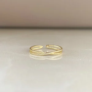 ANILLO ALIS